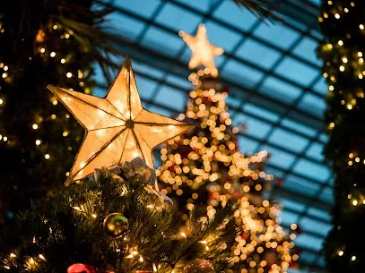 Vianoce – 17. Dec 2024